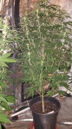 20201003_185231.jpg