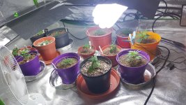 20201003_184801.jpg
