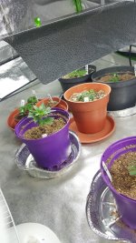 20201003_184817.jpg