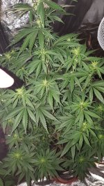 20201003_185128.jpg