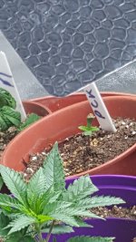 20201003_184848.jpg