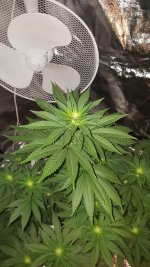20201003_184952.jpg