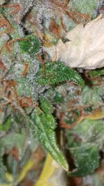 20201003_185341.jpg