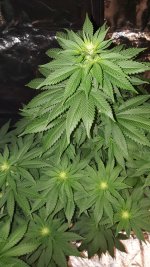 20201003_185030.jpg