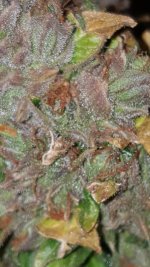 20201003_185423.jpg