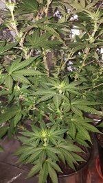 20201003_185048.jpg