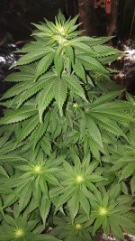 20201003_185024.jpg