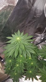 20201003_184941.jpg