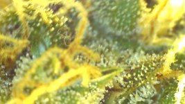 95898759-A435-4AEA-8395-CDF98037C258.jpeg