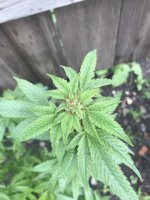 photo120617.jpg