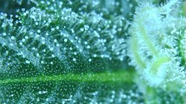WIN_20201003_18_07_49_Pro.jpg