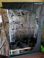 photo120681.jpg