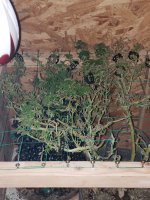 20201005_143040.jpg
