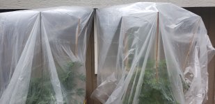 20201006_093025.jpg