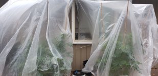 20201006_093030.jpg