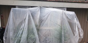 20201006_093109.jpg
