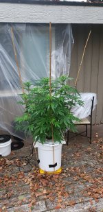 20201006_093227.jpg