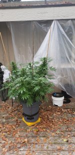 20201006_093223.jpg