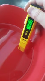 20201006_125234.jpg