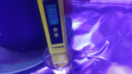 20201006_130324.jpg