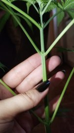 20201007_170215.jpg