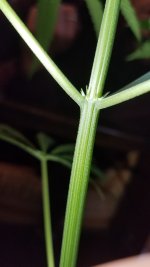 20201007_170203.jpg