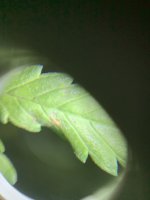 photo121013.jpg