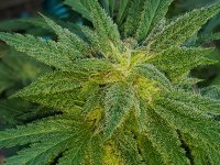 photo121330.jpg