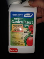 IMG_20201013_050916066.jpg