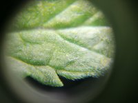 IMG_20201013_081411.jpg