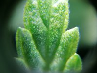 IMG_20201009_002228.jpg