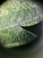 IMG_20201009_001809.jpg