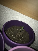 photo121983.jpg
