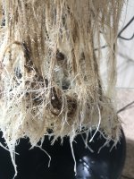 photo122030.jpg