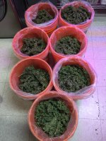 IMG_2507.jpeg