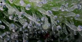 photo122229.png