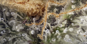 photo122230.png