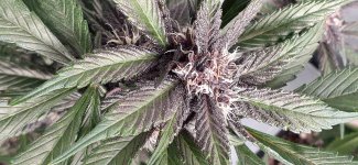 20201107_210441.jpg