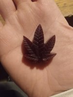 IMG_20201115_232656615.jpg