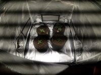 20201028_074114.JPG
