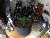20201104_100256.JPG
