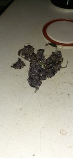 20201121_150651.jpg