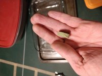 IMG_20201123_192816687.jpg
