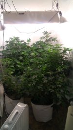 20170309_202129.jpg