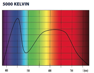 5000_Kelvin_Spectrum_grande.png
