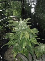 IMG_3130.JPG