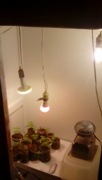 photo13417.jpg