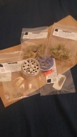 20170321_165527-1494x2656.jpg