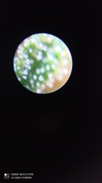 IMG_20201203_131106.jpg