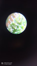 IMG_20201203_131108.jpg
